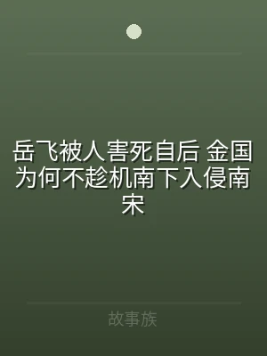岳飞被人害死自后 金国为何不趁机南下入侵