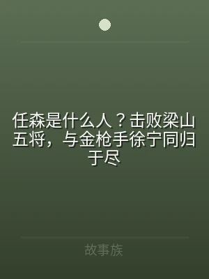 任森是什么人？击败梁山五将，与金枪手徐宁
