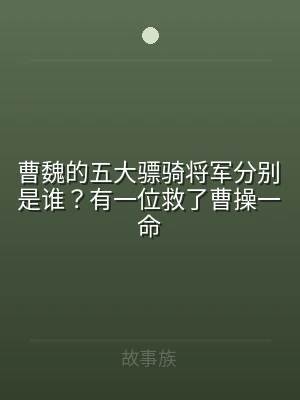 曹魏的五大骠骑将军分别是谁？有一位救了曹
