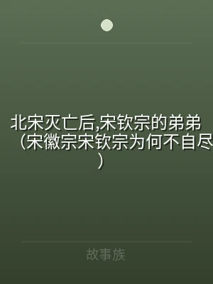 北宋灭亡后,宋钦宗的弟弟（宋徽宗宋钦宗为