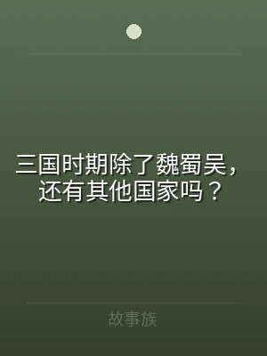 三国时期除了魏蜀吴，还有其他国家吗？