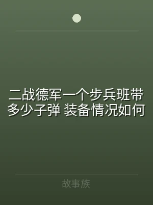 二战德军一个步兵班带多少子弹 装备情况如