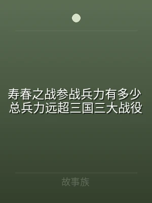 寿春之战参战兵力有多少 总兵力远超三国三