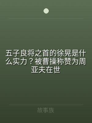 五子良将之首的徐晃是什么实力？被曹操称赞
