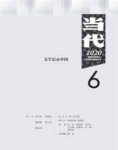 当代2020年6期