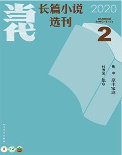 当代·长篇小说2020年2期