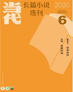 当代·长篇小说2020年6期