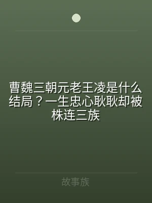 曹魏三朝元老王凌是什么结局？一生忠心耿耿