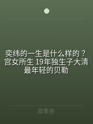 奕纬的一生是什么样的？宫女所生 19年独