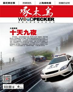 啄木鸟2016年6期