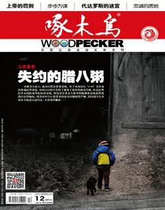 啄木鸟2016年12期