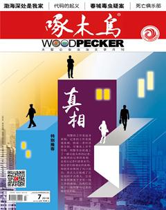 啄木鸟2018年7期