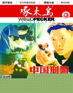 啄木鸟2018年12期