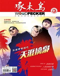 啄木鸟2021年1期